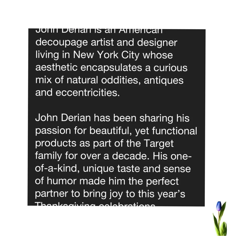 John Derian Mushroom Shaped Plush Pillow